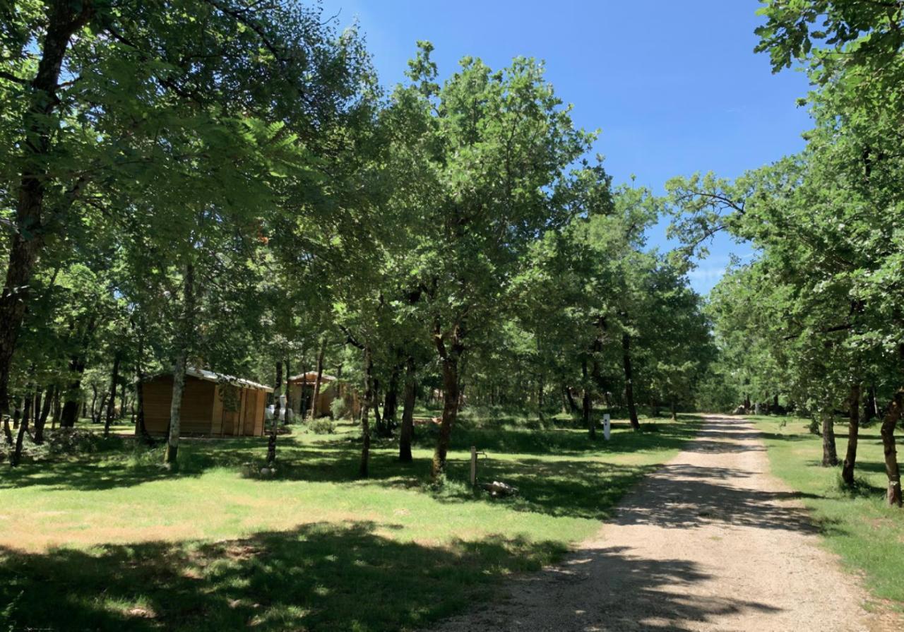 Lodges Du Bois Dodo - Ancien Camping De Bois Redon Septfonds Екстер'єр фото
