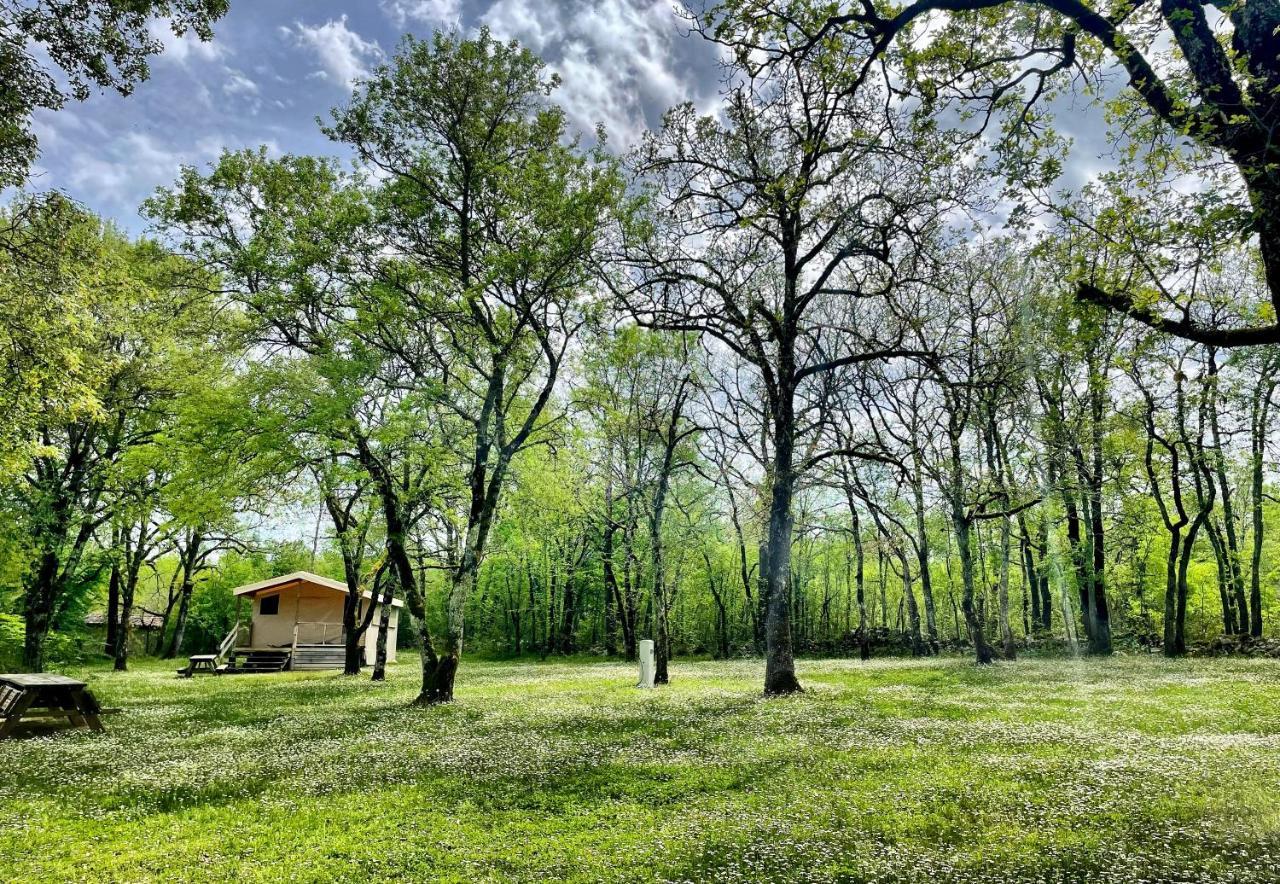 Lodges Du Bois Dodo - Ancien Camping De Bois Redon Septfonds Екстер'єр фото